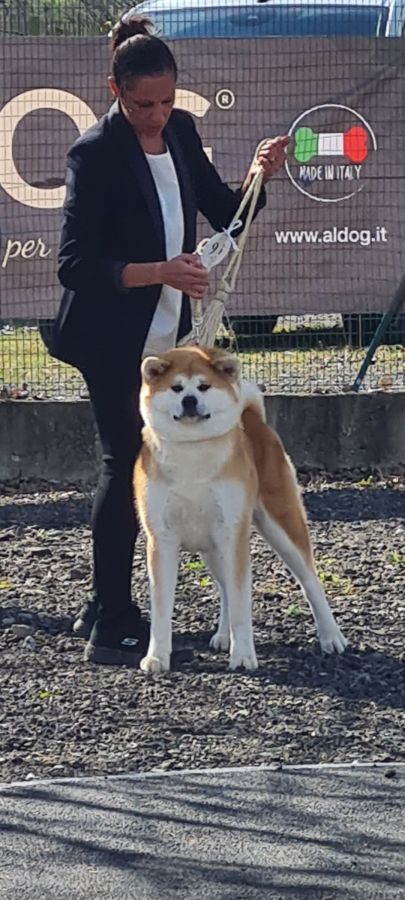 Unzen Shinju Go Isegumo Kensha