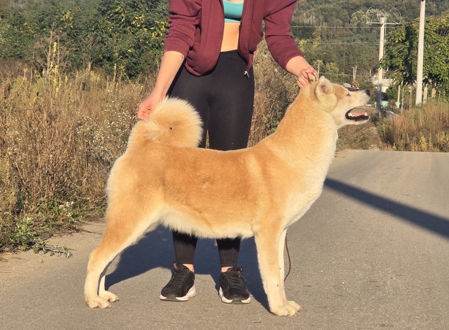 E Hana