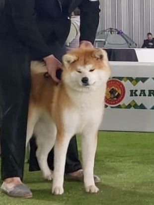 Hanakichi Go Fuen No Oka