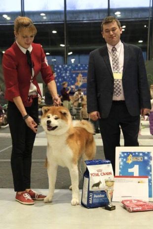 Izumi Gai Ichi Hime
