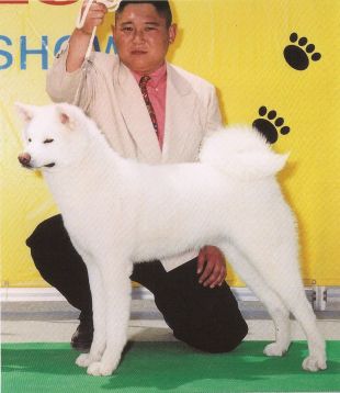 Atagohaku Go Ishikawa Miyuki