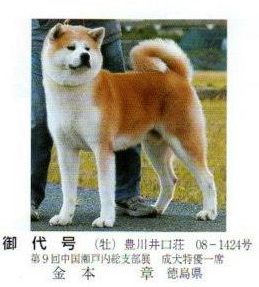 Godai Go Toyokawa Iguchisou