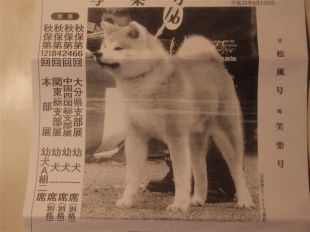 Sharaku Go Shirai