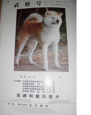 Bushou Go Kumamoto Ishimura Kensha