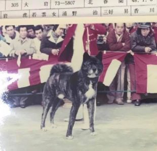 Ohiwa Go Hokusyun En