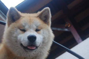 Asia