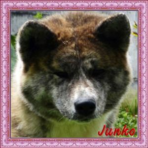 Junko Go Kawamura