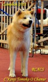 C'Kenji Tomoko O Chanur