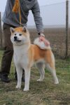 Nippon Sun Ikiko