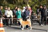 Suwahime Go