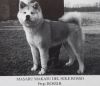 Masaru Masako Del Sole Rosso