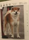 Hokutaikou Go Akita Empei