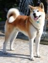 Yuki