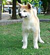 Aki Unmei Argentina So Takashi Go Caan