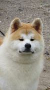 Sake No Uchi Marshall