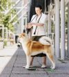 Zuki Go Enso Kensha