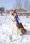 Riku