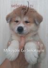 Mokuyobi Go Seikatsu Ni