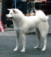 Shirofumi Go Fuen No Oka