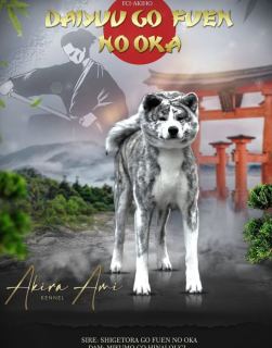 Daiyuu Go Fuen No Oka