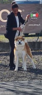 Unzen Shinju Go Isegumo Kensha